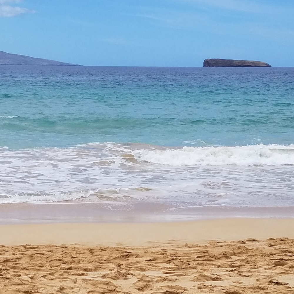 Meet your Posher, Hydee